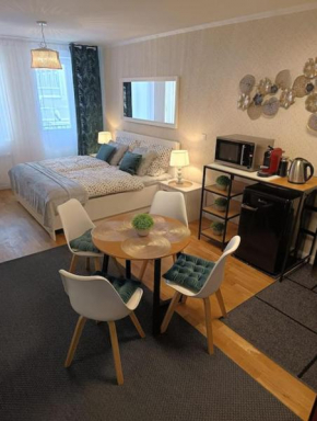 Cozy apartment in the city of Prague 2